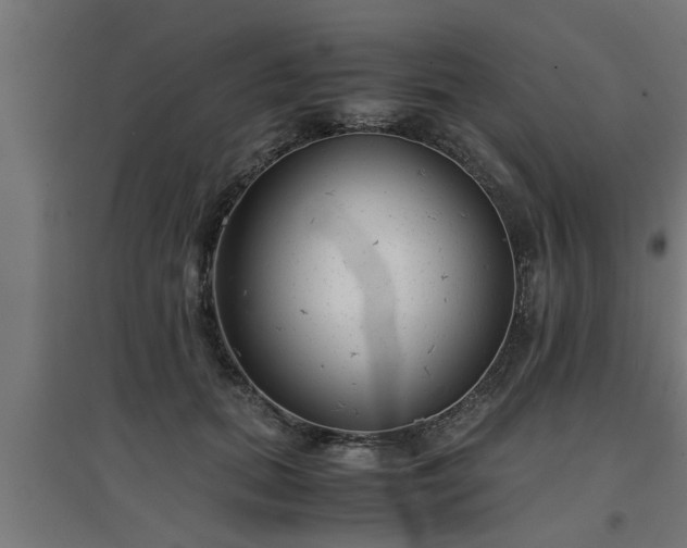 X0000094970655200712061429