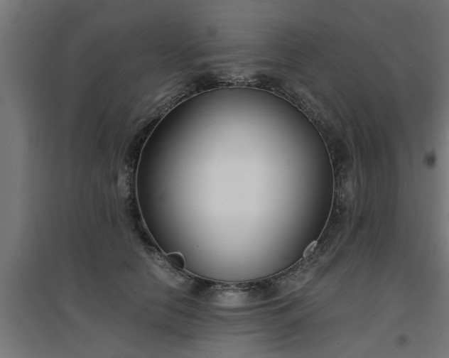 X0000094970658200712061429