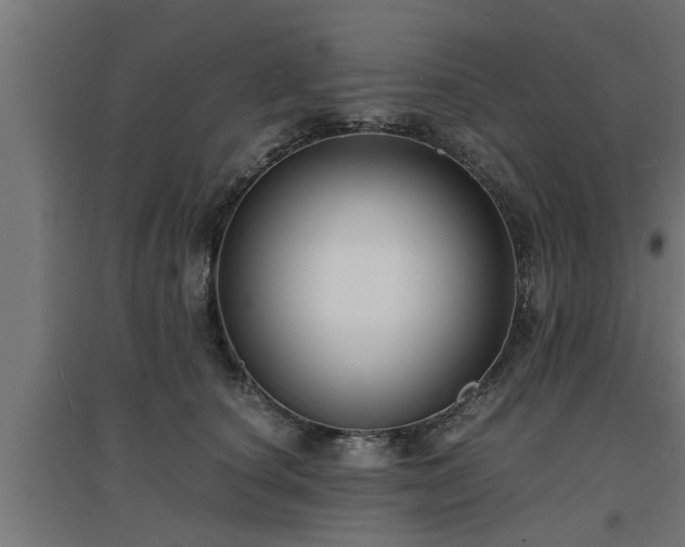 X0000094970660200712061429