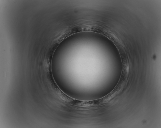 X0000094970661200712061429