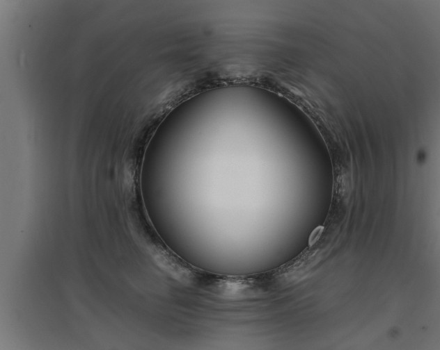 X0000094970662200712061429