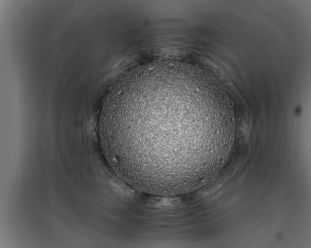 X0000094970663200712061429