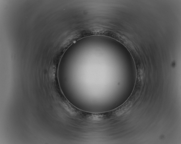 X0000094970664200712061429