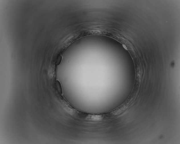 X0000094970665200712061429