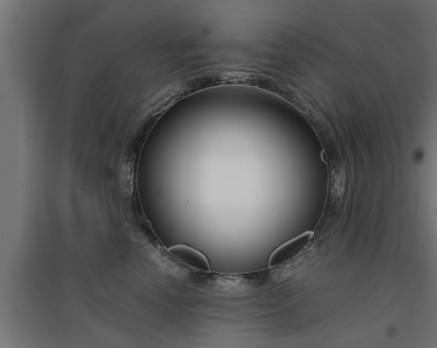 X0000094970666200712061429