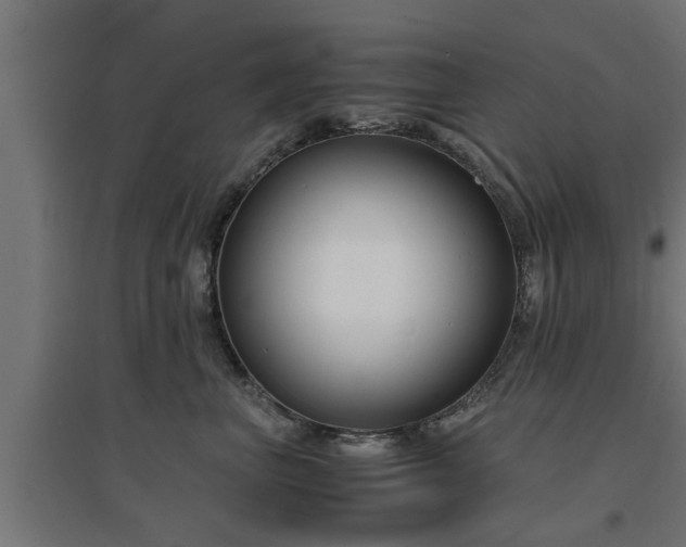 X0000094970667200712061429