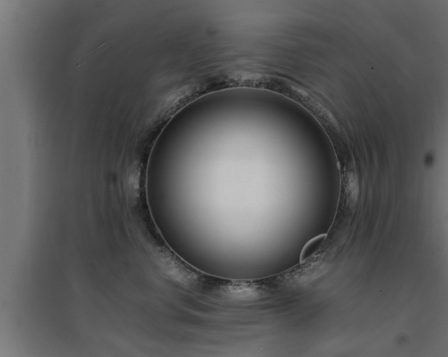 X0000094970668200712061429