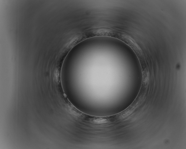 X0000094970669200712061429