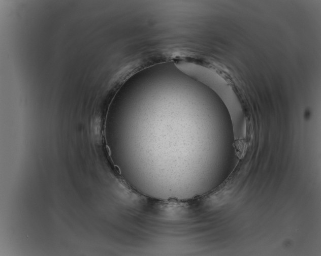 X0000094970670200712061429