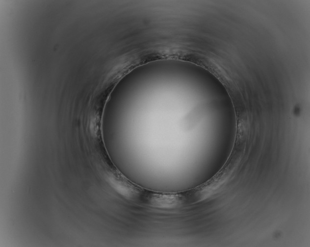 X0000094970671200712061429