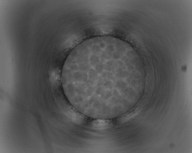 X0000094970672200712061429