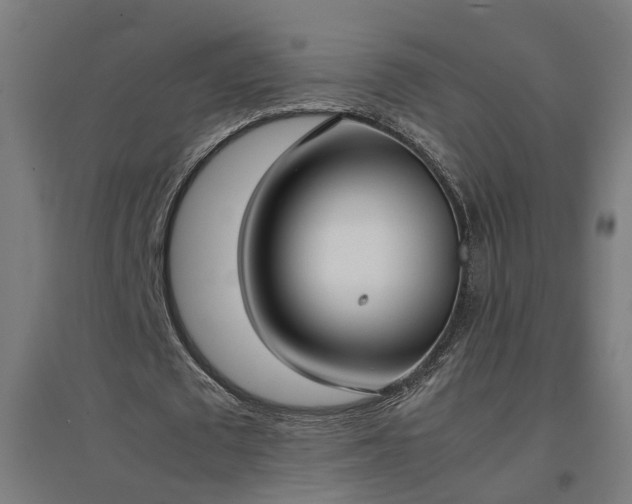 X0000094970673200712061428