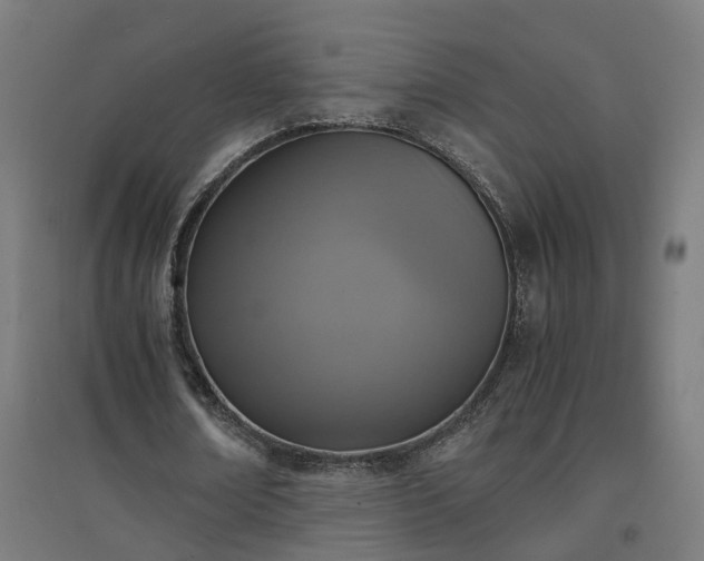 X0000094970674200712061428