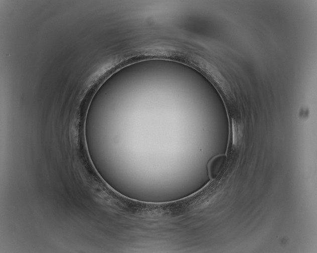 X0000094970675200712061428