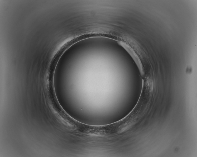 X0000094970676200712061428