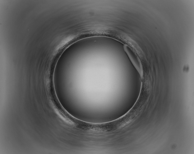 X0000094970677200712061428