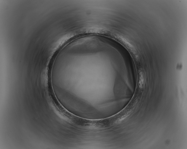 X0000094970678200712061428