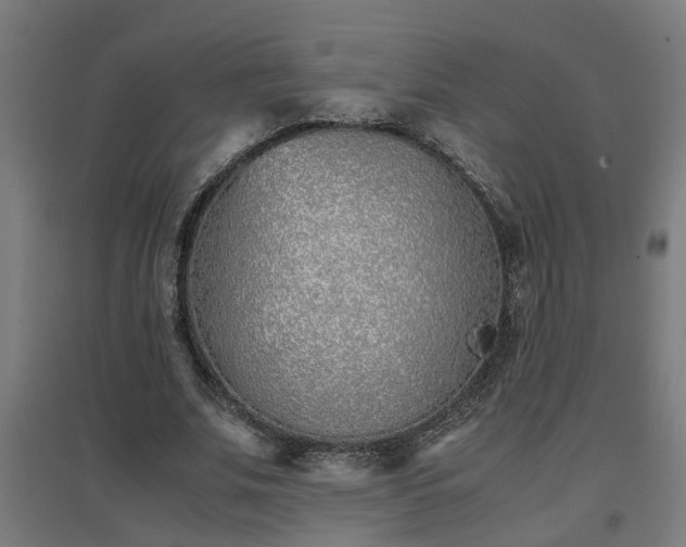 X0000094970679200712061428