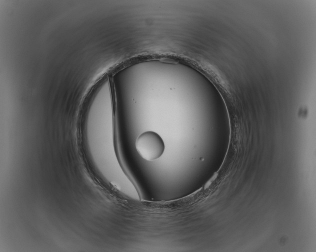 X0000094970680200712061428