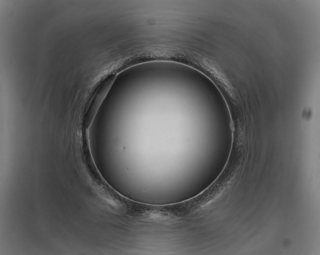 X0000094970681200712061428