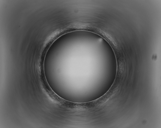 X0000094970682200712061428