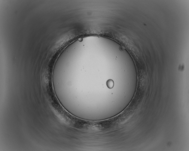 X0000094970683200712061428