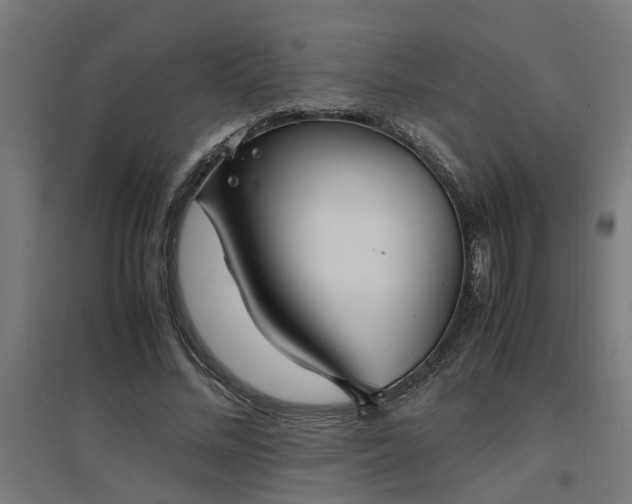 X0000094970684200712061428