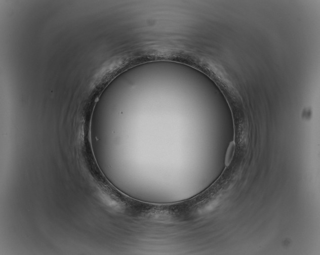 X0000094970685200712061428