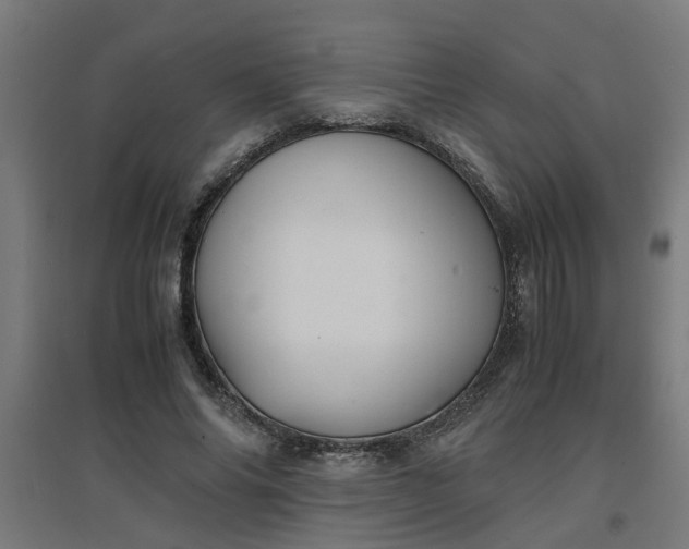 X0000094970686200712061428