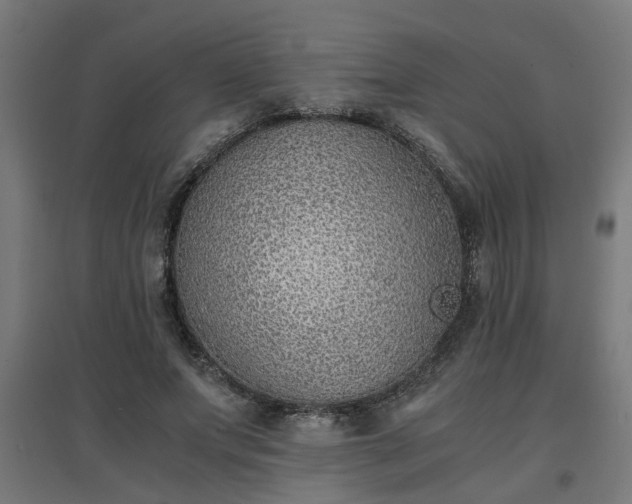 X0000094970687200712061428