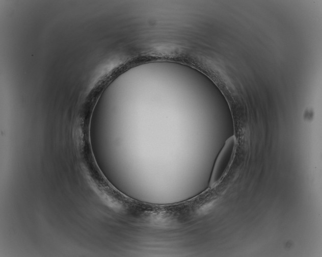 X0000094970688200712061428