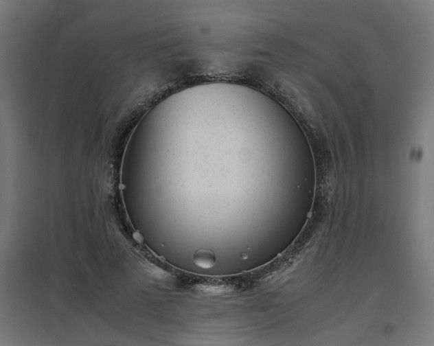 X0000094970689200712061428