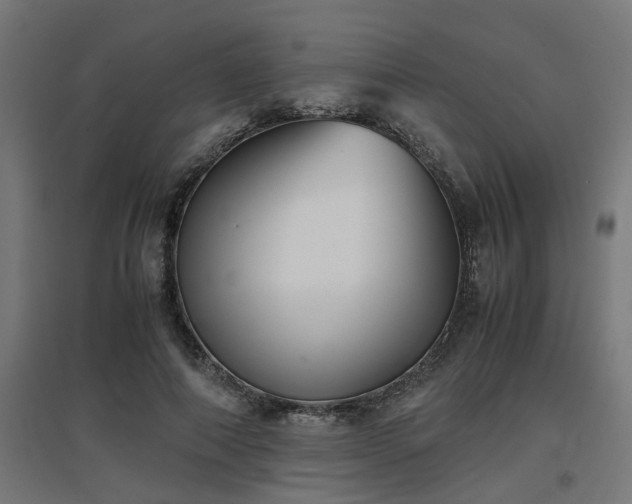 X0000094970690200712061428