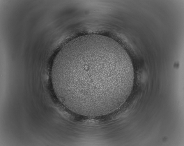 X0000094970691200712061428