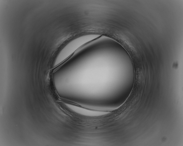 X0000094970692200712061428