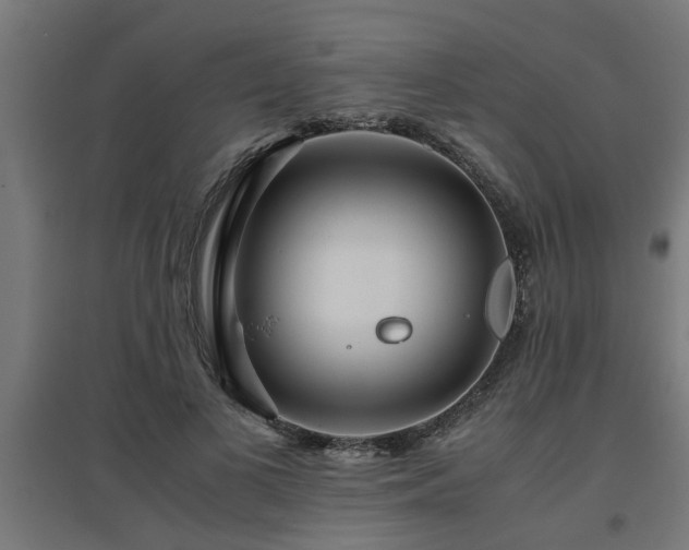 X0000094970693200712061428