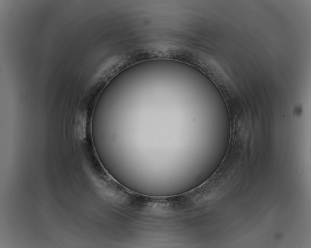 X0000094970694200712061428