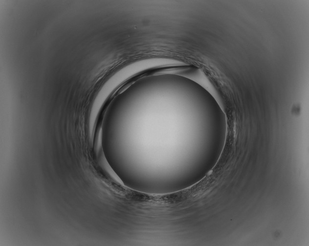 X0000094970696200712061428