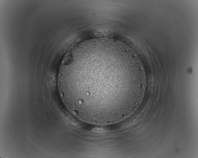 X0000094970699200712061428