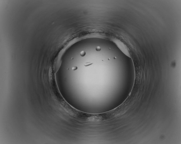 X0000094970700200712061428