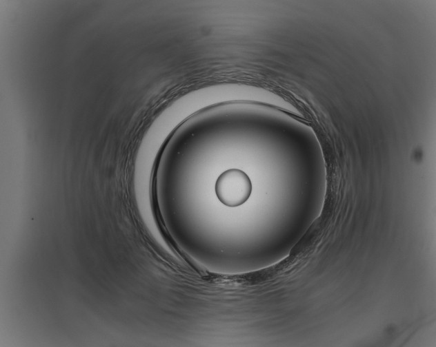 X0000094970701200712061428