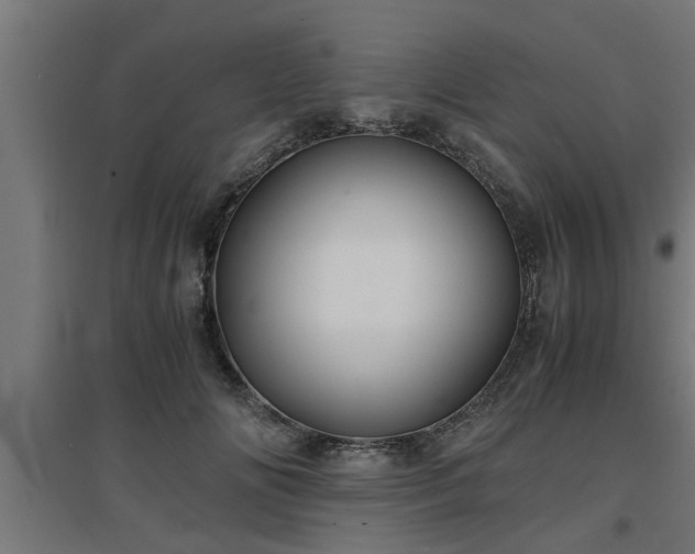 X0000094970702200712061428