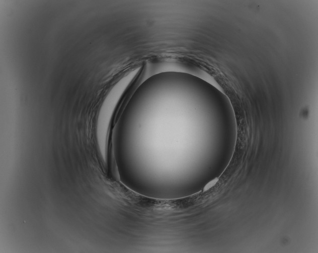 X0000094970704200712061428