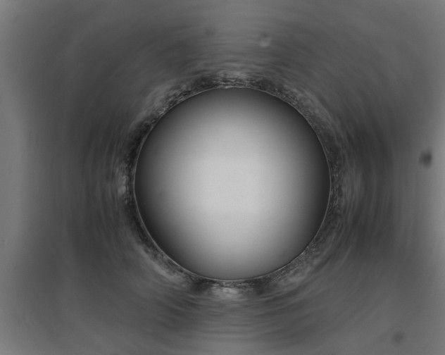 X0000094970706200712061428