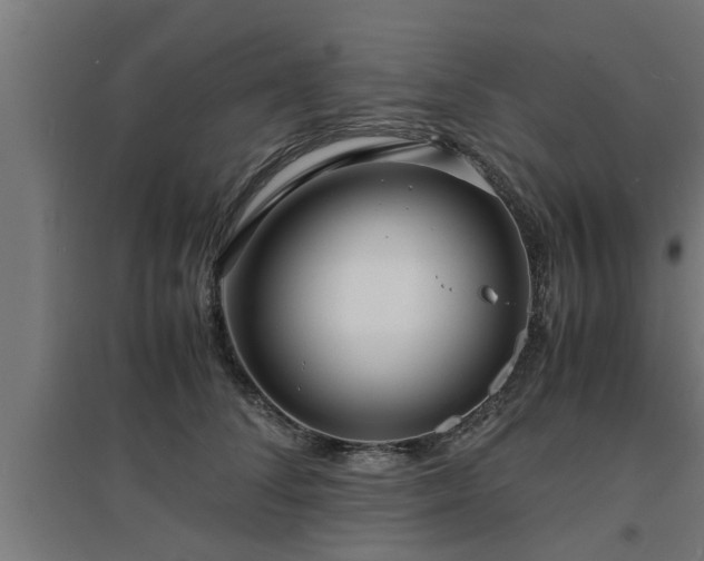 X0000094970708200712061428