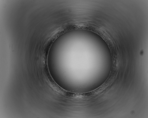 X0000094970710200712061428