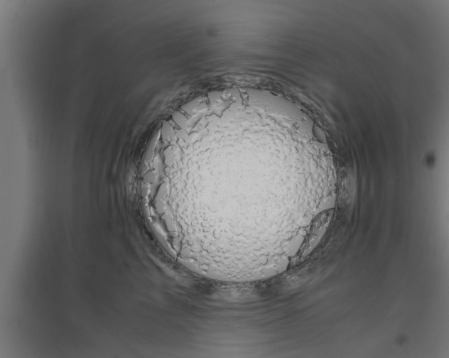 X0000094970713200712061428