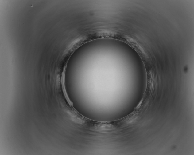 X0000094970716200712061428