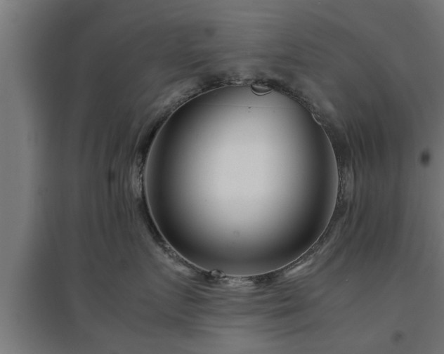 X0000094970719200712061428