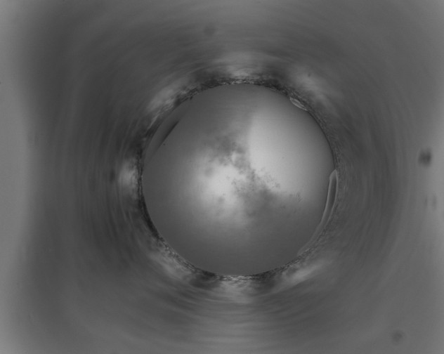 X0000094970720200712061428